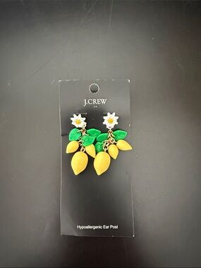 NWT J.Crew earrings